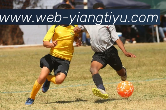 意昂体育APP 高清赛事图