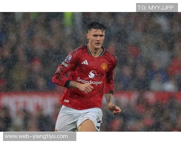 马雷斯卡称帕尔默具备首发能力阿森纳在英超和欧冠中实力强劲